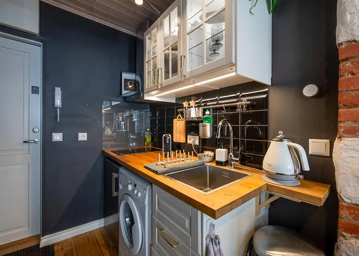 Garden Next To Telliskivi&old Town Lägenhet